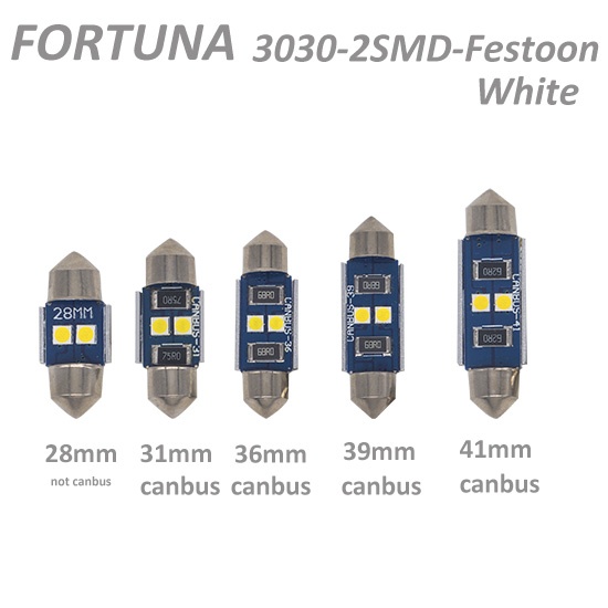 Festoon 3030SMD 2LEDs White